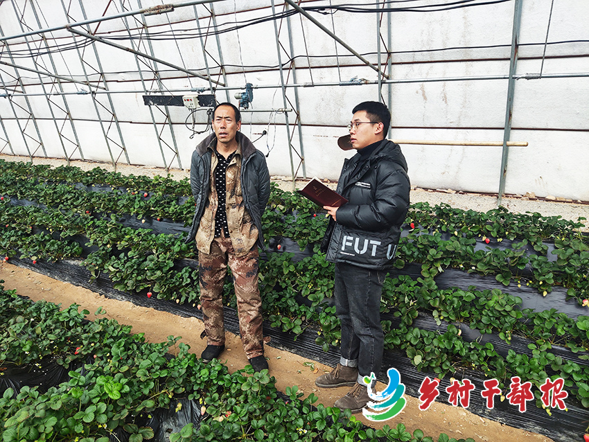 隋陽宏（右）調(diào)研草莓產(chǎn)業(yè)發(fā)展情況。2.jpg