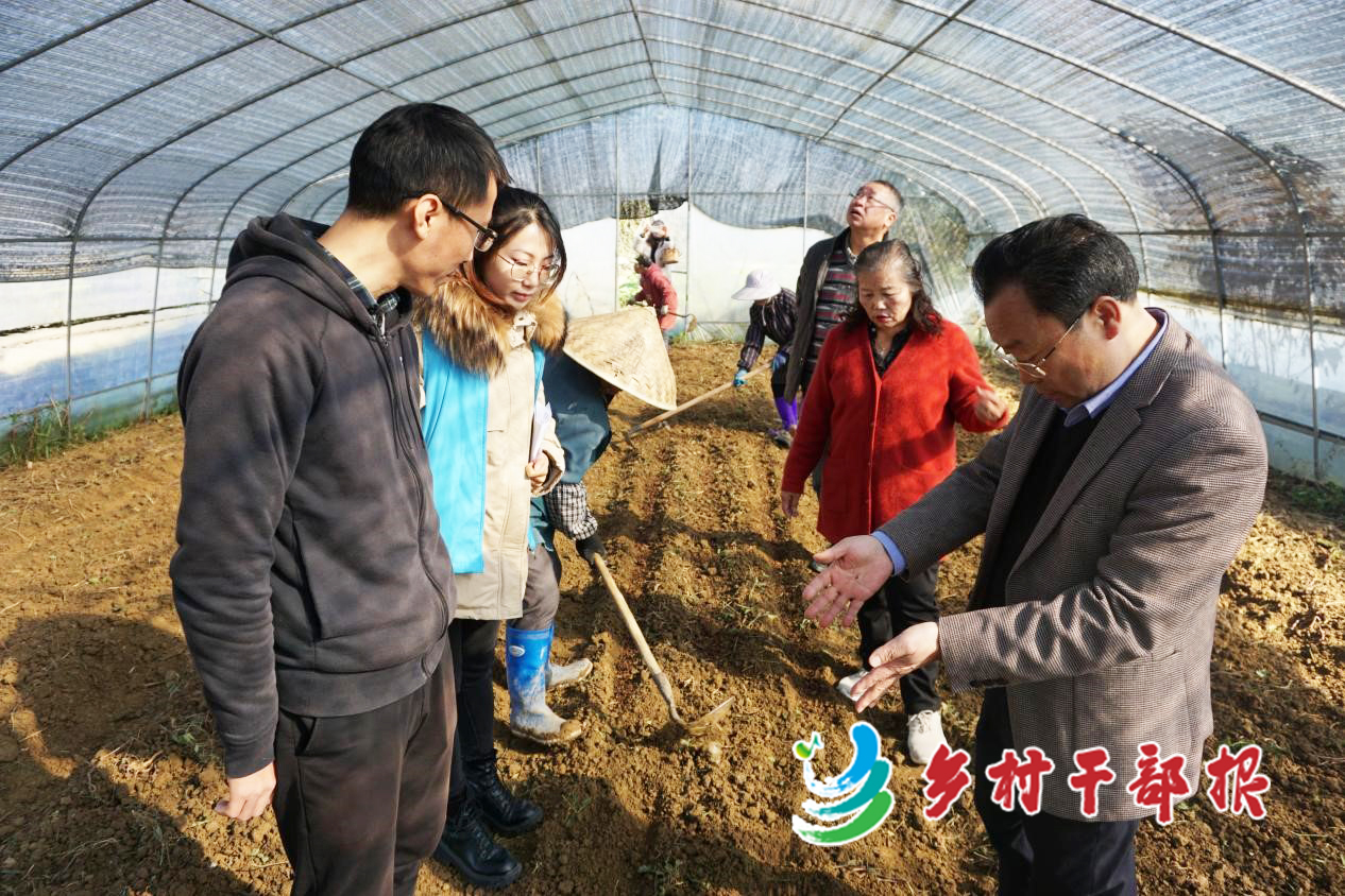 文怡（左二）邀請(qǐng)專家指導(dǎo)羊肚菌栽培。2.jpg